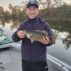 Dayton's Bass Bounty Unleashed