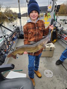 Catfish Fishing Delight