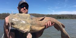 Hardhead sea catfish caught fishing in Dayton