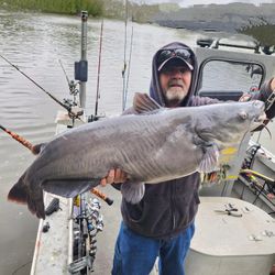 Fisherman holding a blue catfish