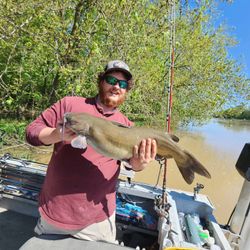 Fishing for a blue catfish in Ohio