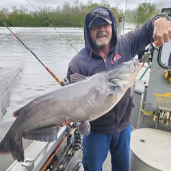 Caught a Blue Catfish in OH