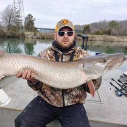 Muskellunge fish caught in Dayton