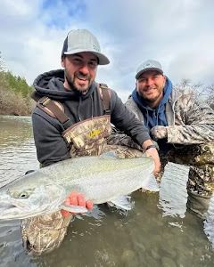 Premier Steelhead Fishing In Northern CA