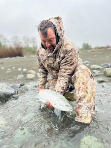 Northern CA Steelhead Wonders