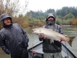 Chinook Salmon being caught while fishing in Oregon