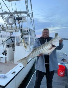 Fun Striped Bass Fishing In New Jersey