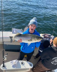 Striped Bass Frenzy on the Jersey Coast!