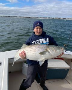 Catching Trophy Striped Bass in NJ!
