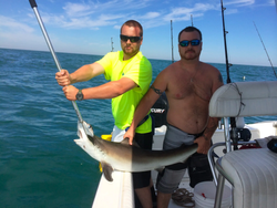 A single Atlantic Sharpnose Shark, measuring 27 inches, caught in Neptune City