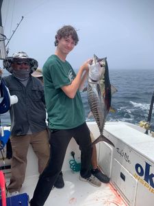 Blackfin tuna fishing in Neptune City