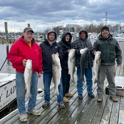 5 bluefish caught by 5 people in Neptune City