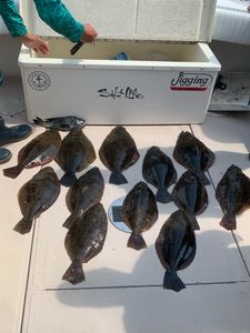 10 southern flounder and summer flounder in NJ