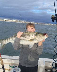 Catch Of The Day: Striped Bass 