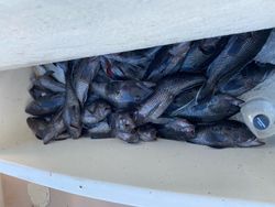 Two fishermen enjoy fishing in New Jersey