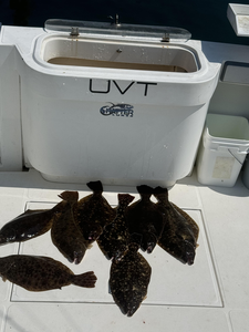 Halibut and flounder double-header in crystal clear waters!