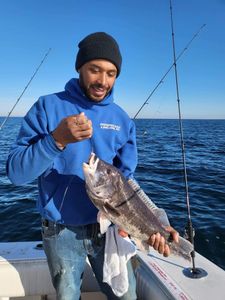 Single angler reeling in a 13-inch catch in NJ