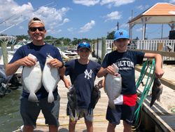 Six sea bass caught while fishing in NJ