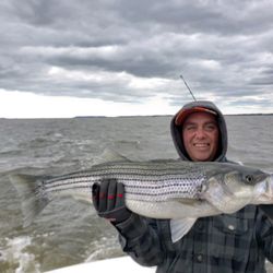 Striped bass caught by angler in NJ