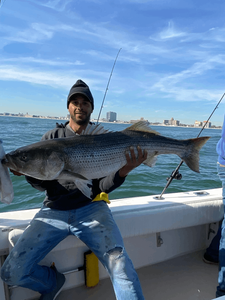Striped bass caught fishing in NJ