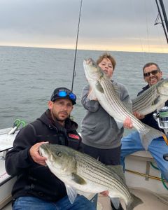 Two striped bass caught in New Jersey