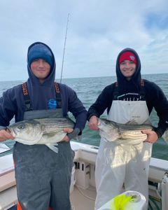 2 striped bass, fishing in NJ