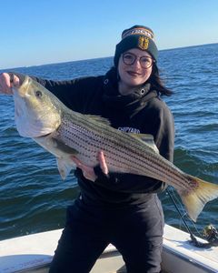 Striped bass fishing in NJ