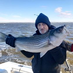 Striped bass caught fishing in Neptune City