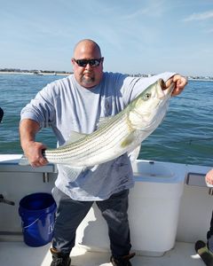 Striped bass caught by angler in Neptune City