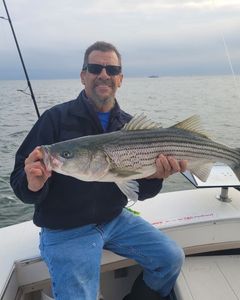 Striped bass caught in Neptune City