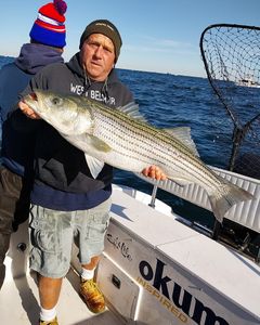 A striped bass caught in Neptune City, New Jersey