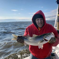 Striped bass caught in Neptune City