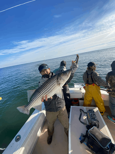 Striped bass caught in New Jersey
