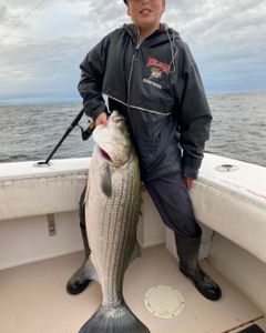 Striped bass caught fishing in NJ