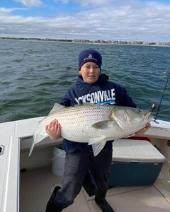 Striped bass caught in NJ