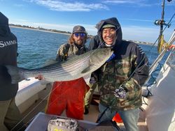 Striped bass caught in NJ