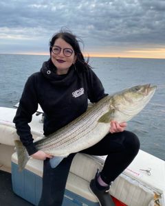 Striped bass caught in NJ