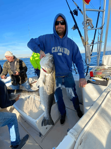A striped bass caught while fishing in NJ