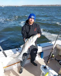 Striped bass caught in NJ
