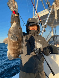 A tautog fish caught in New Jersey