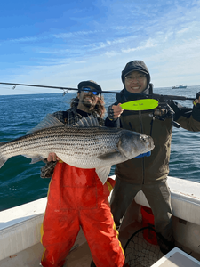 A huge wiper (hybrid striped bass) caught while fishing in Neptune City