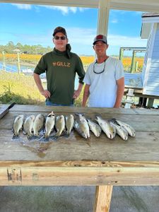 6 redfish caught in GA