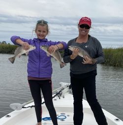 3 black drum fish caught fishing in GA
