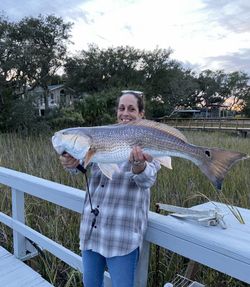 Redfish caught while fishing in GA