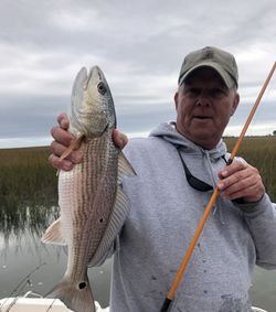 Redfish caught while fishing in GA