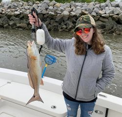 Redfish caught by an angler at Tybee Island