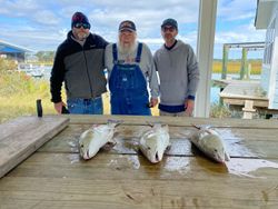 Three anglers fishing in GA