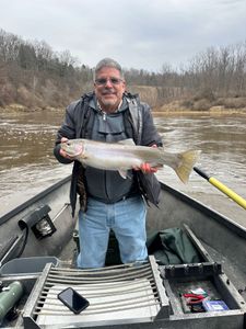 Fish-Species