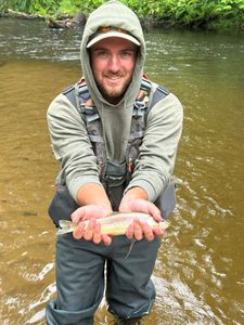 A fisherman catching a rainbow trout in Brethren