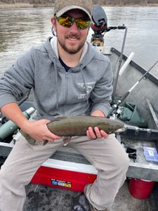Fish-Species